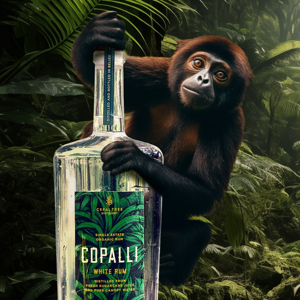 An image of a hyper realistic animated monkey climbing on a bottle of Copalli Rum, with a jungle background.